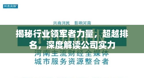 揭秘行業(yè)領(lǐng)軍者力量，超越排名，深度解讀公司實力