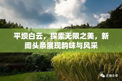 平壩白云，探索無限之美，新聞頭條展現(xiàn)韻味與風(fēng)采